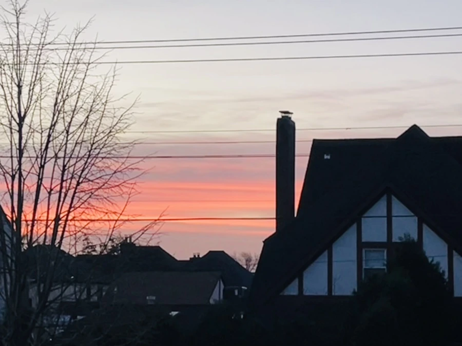 IMG_7474.jpg?type=w966