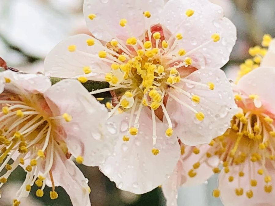 IMG_1948.jpg?type=w966