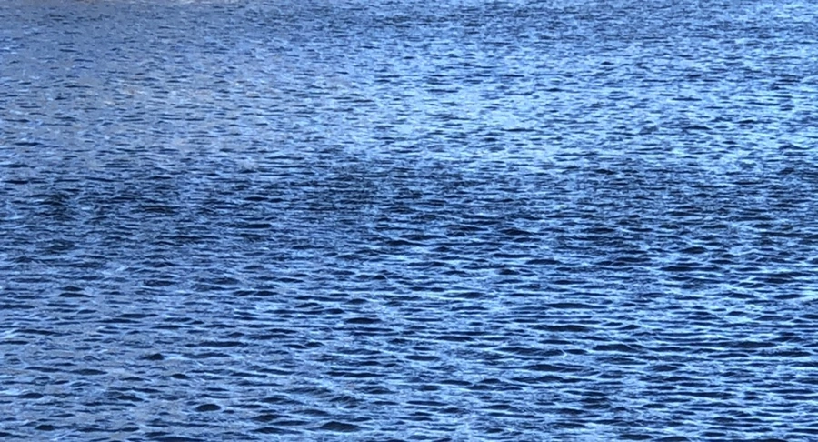 IMG_3816.jpg?type=w966