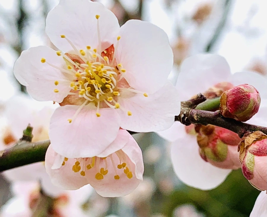 IMG_1698.jpg?type=w966