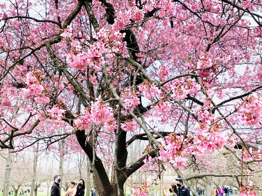 IMG_7085.jpg?type=w966