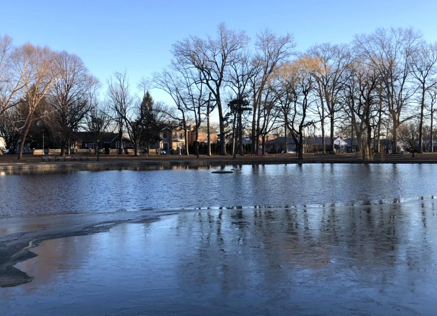 IMG_1123.jpg?type=w966