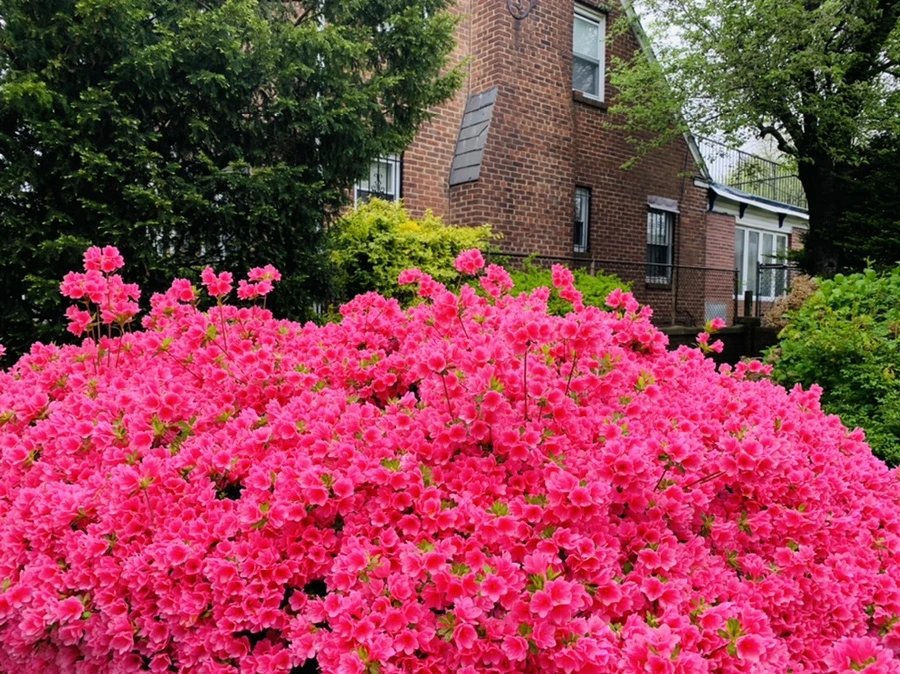 IMG_9693.jpg?type=w966