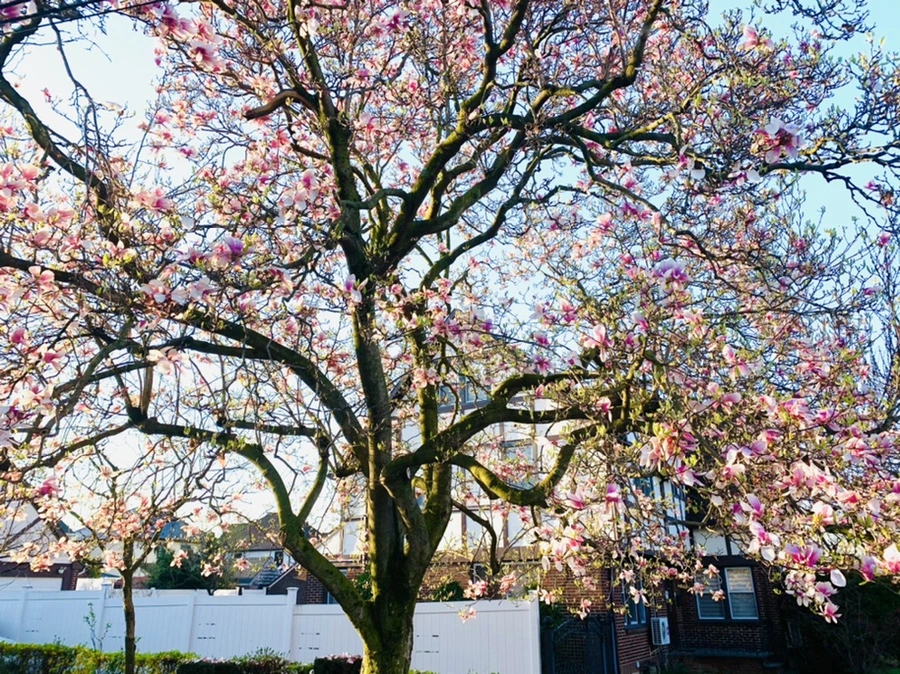 IMG_2425.jpg?type=w966