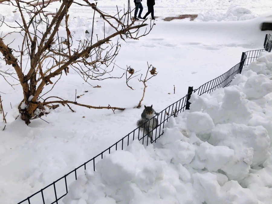 IMG_9406.jpg?type=w966