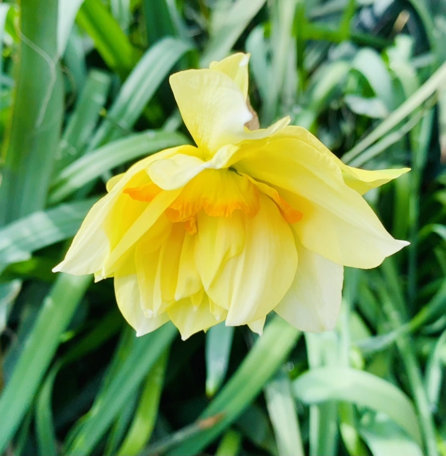 IMG_6378.jpg?type=w966