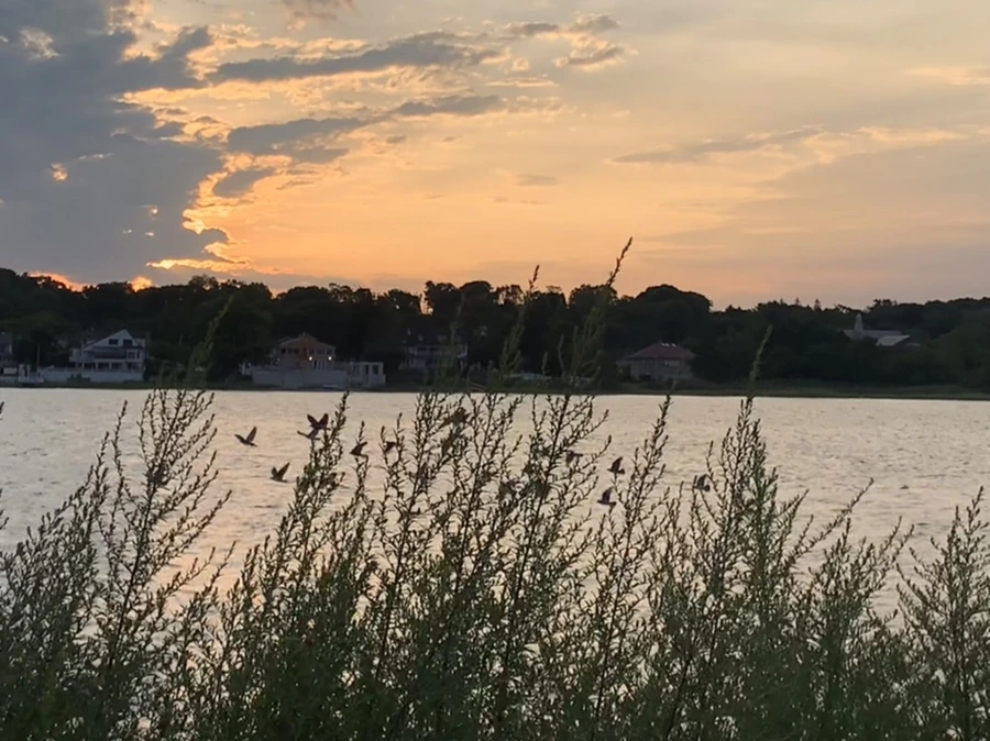 IMG_1735.jpg?type=w966