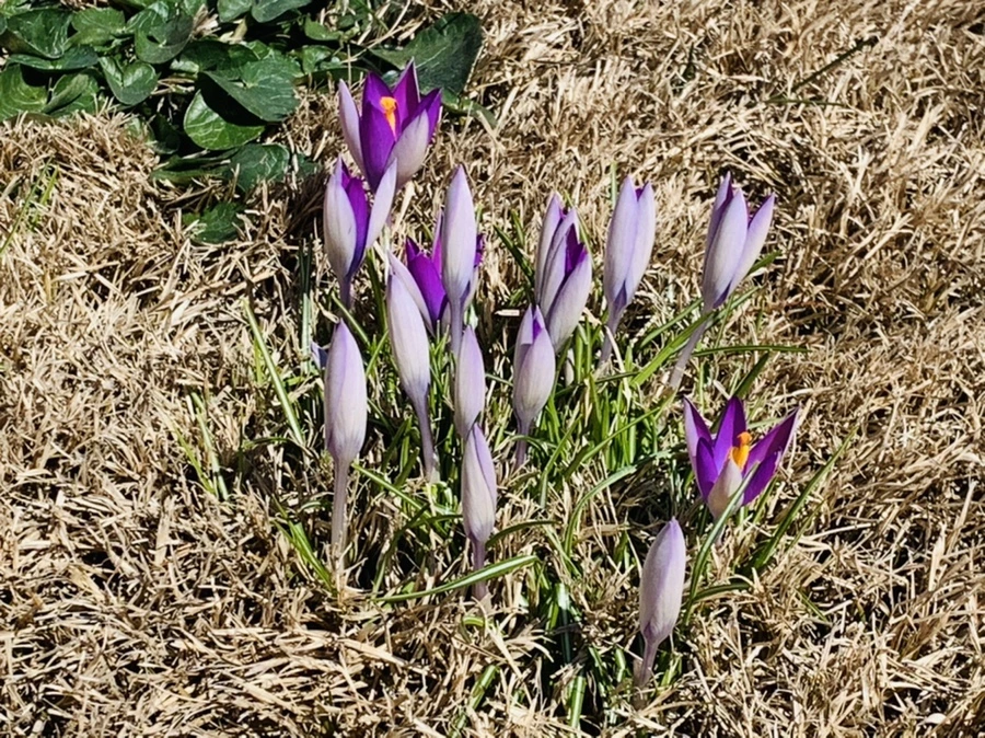 IMG_8240.jpg?type=w966