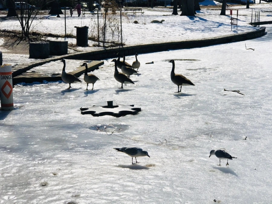 IMG_4967.jpg?type=w966