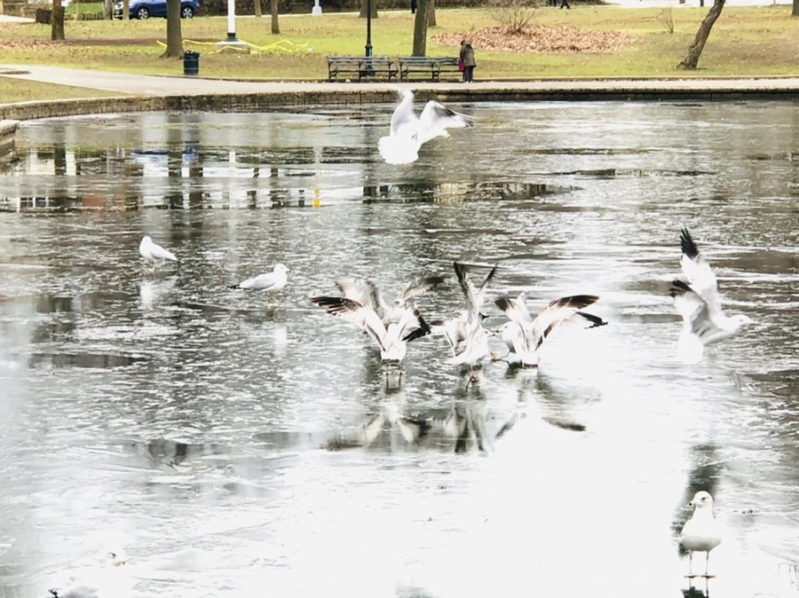 IMG_8949.jpg?type=w966