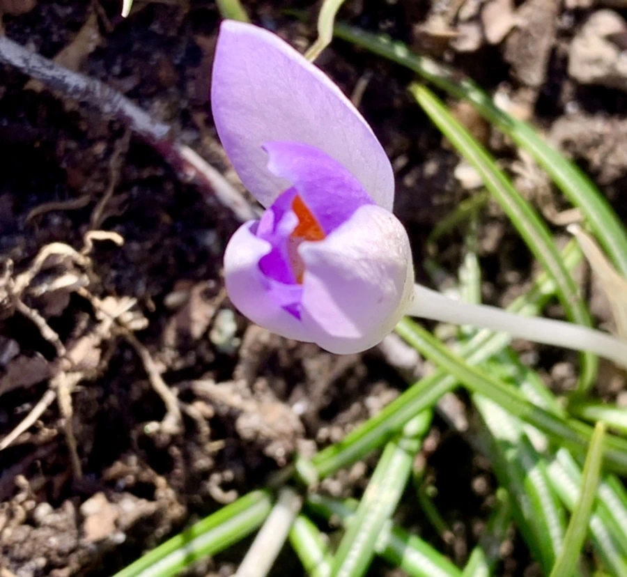 IMG_7484.jpg?type=w966