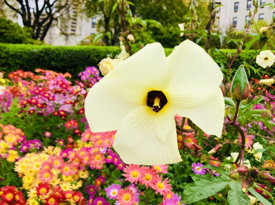 IMG_2507.jpg?type=w966