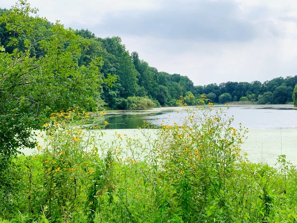 IMG_1321.jpg?type=w966