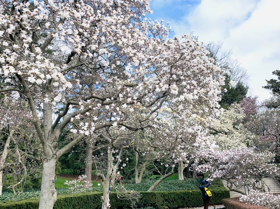 IMG_6501.jpg?type=w966