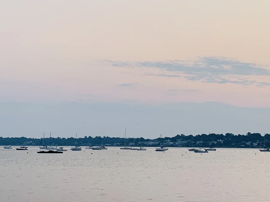 IMG_2358.jpg?type=w966