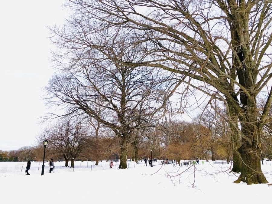 IMG_7326.jpg?type=w966