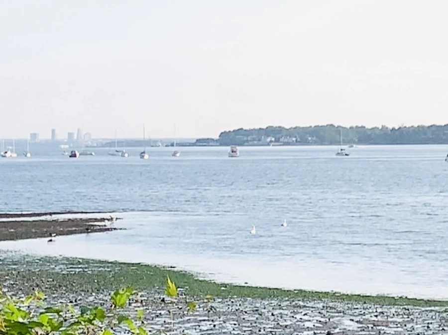 IMG_9823.jpg?type=w966