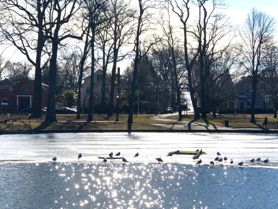 IMG_6780.jpg?type=w966