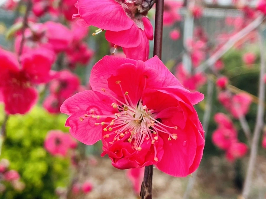 IMG_1261.jpg?type=w966