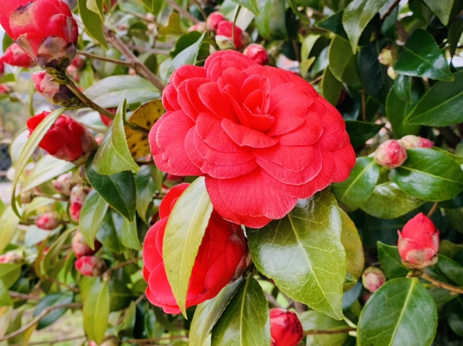 IMG_6799.jpg?type=w966