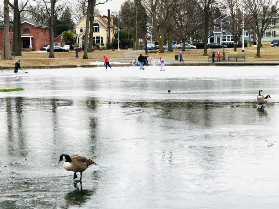 IMG_8312.jpg?type=w966