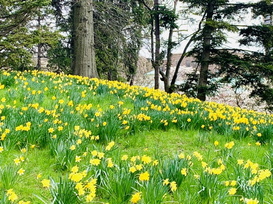 IMG_6556.jpg?type=w966