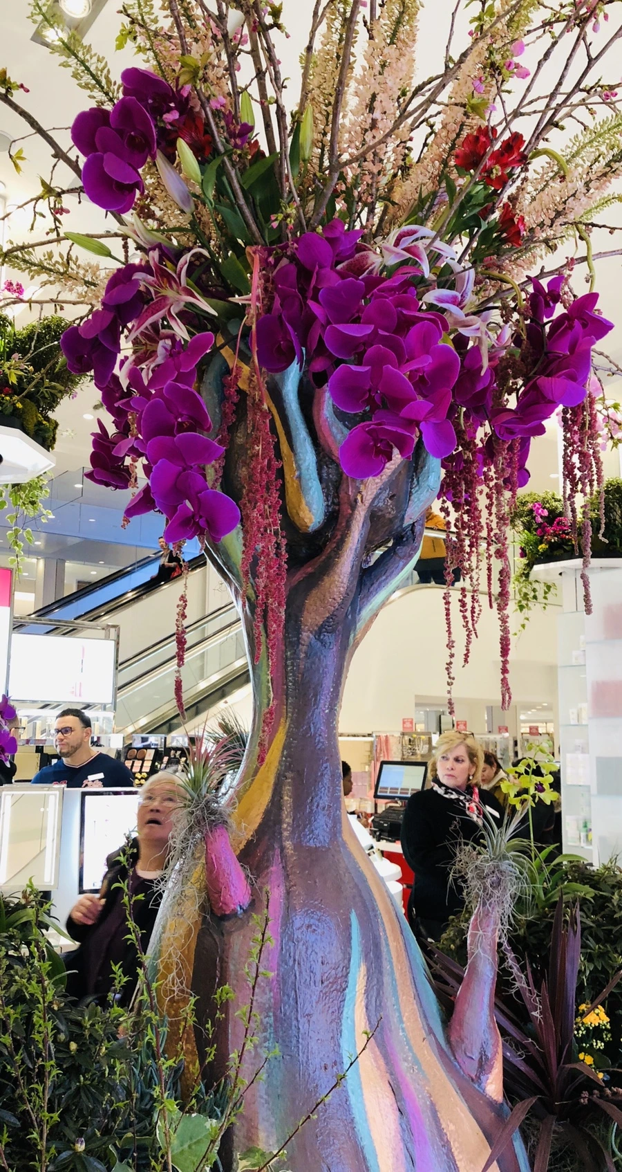 IMG_1847.jpg?type=w966