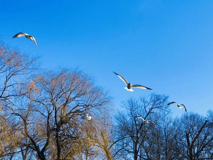 IMG_5403.jpg?type=w966