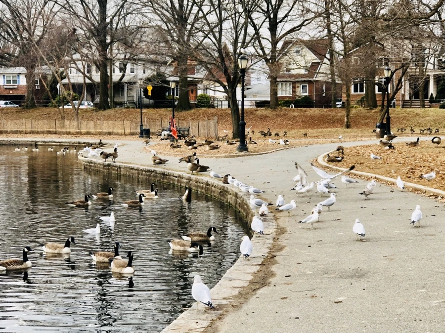 IMG_3258.jpg?type=w966