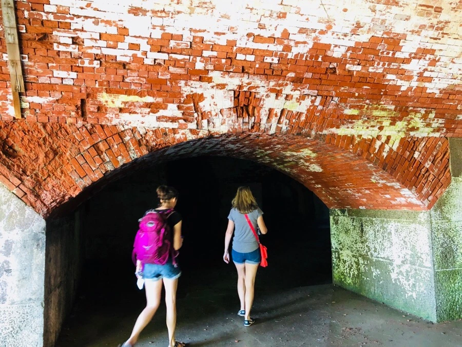 IMG_6712.jpg?type=w966