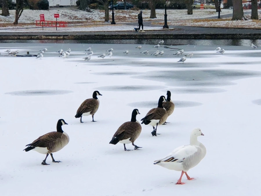 IMG_6036.jpg?type=w966