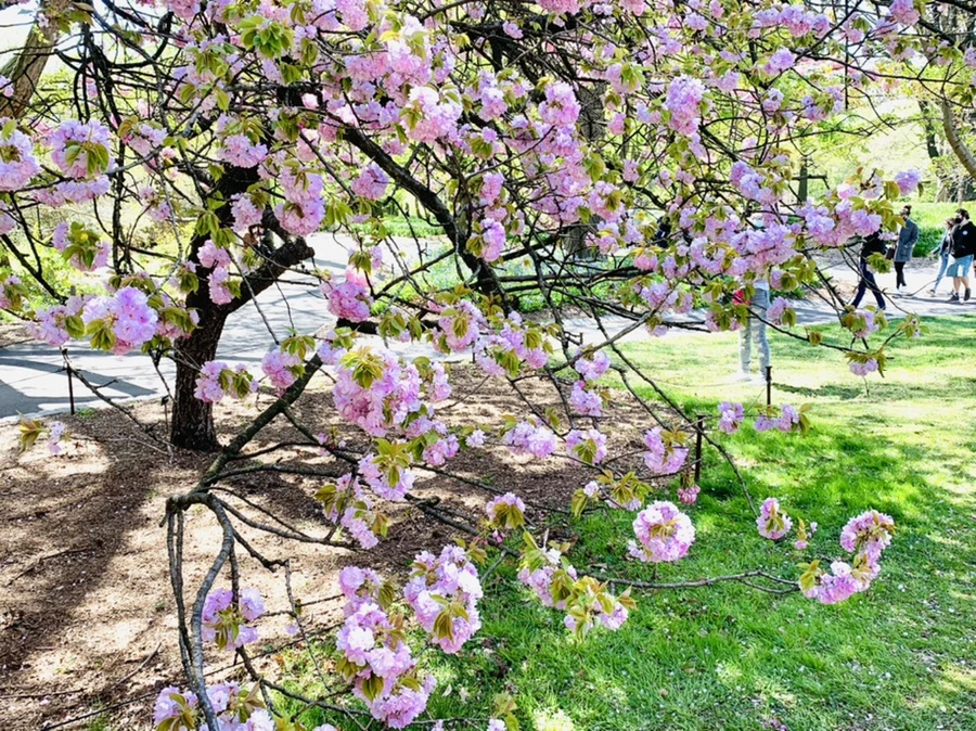 IMG_4607.jpg?type=w966