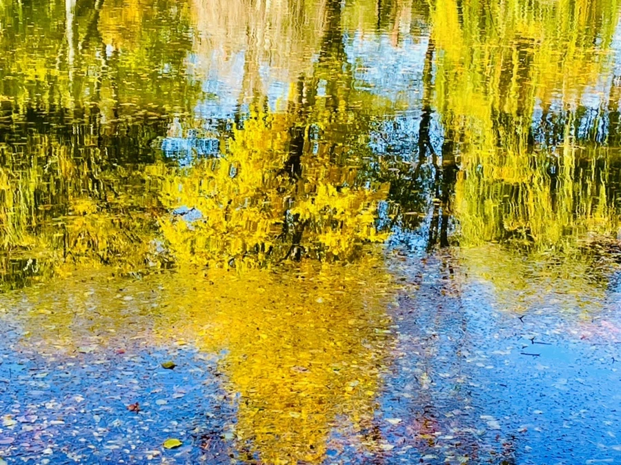 IMG_2584.jpg?type=w966