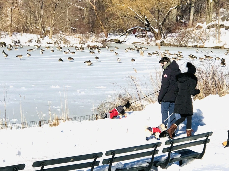 IMG_9891.jpg?type=w966