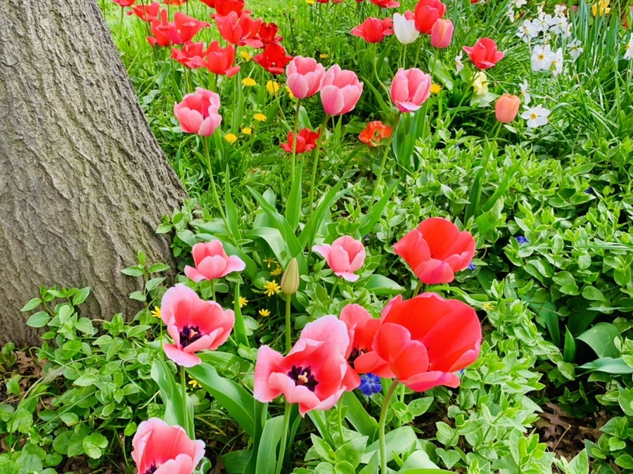 IMG_6956.jpg?type=w966