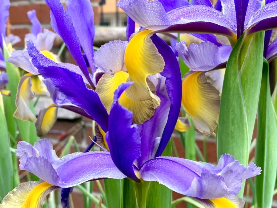 IMG_9704.jpg?type=w966