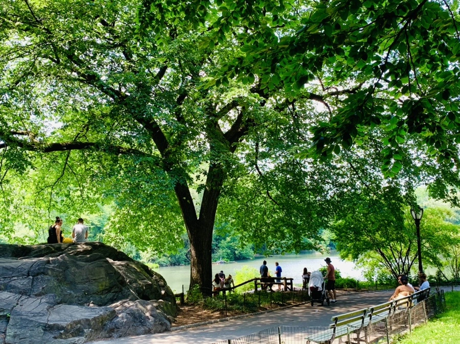 IMG_1620.jpg?type=w966