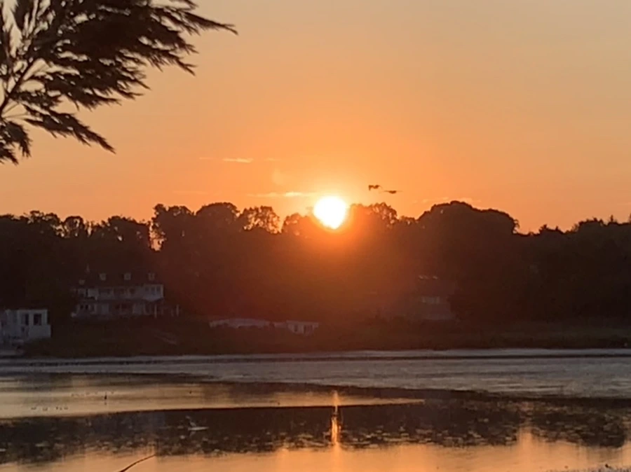 IMG_8880.jpg?type=w966