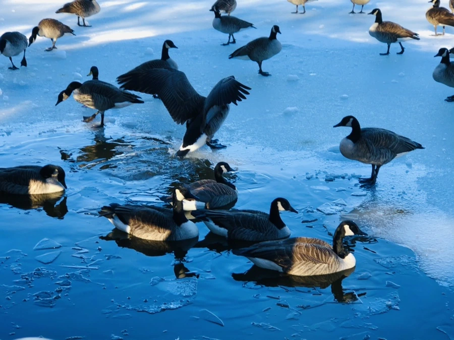 IMG_9919.jpg?type=w966