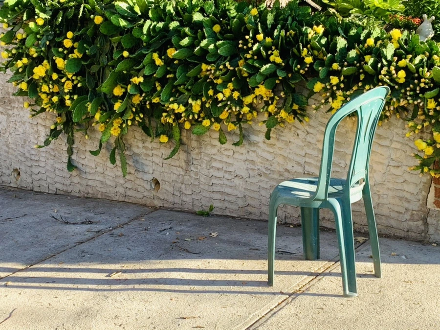 IMG_4368.jpg?type=w966