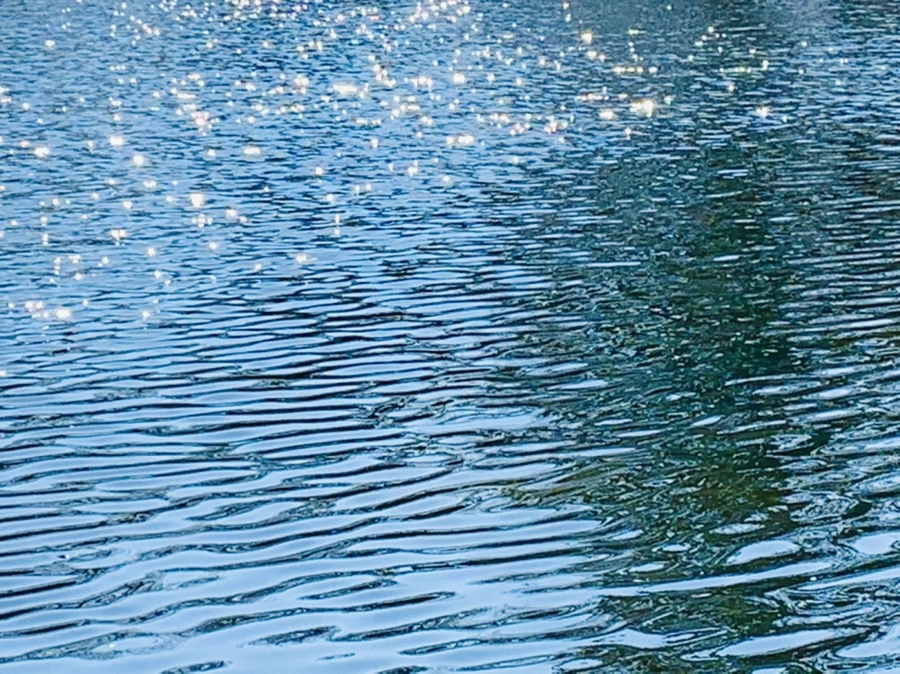 IMG_0032.jpg?type=w966