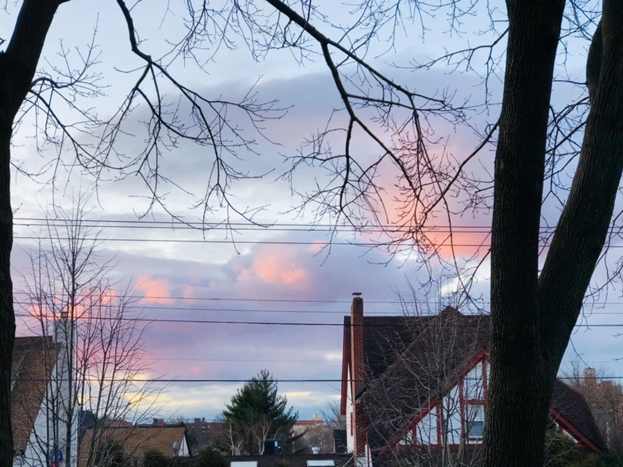 IMG_5161.jpg?type=w966