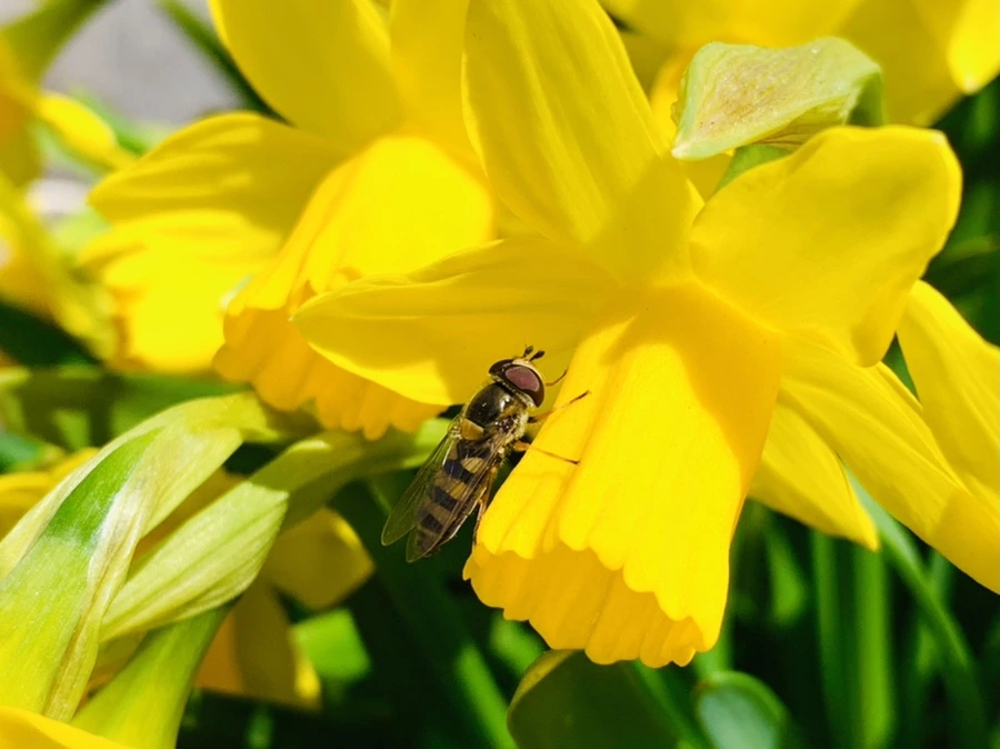 IMG_3256.jpg?type=w966