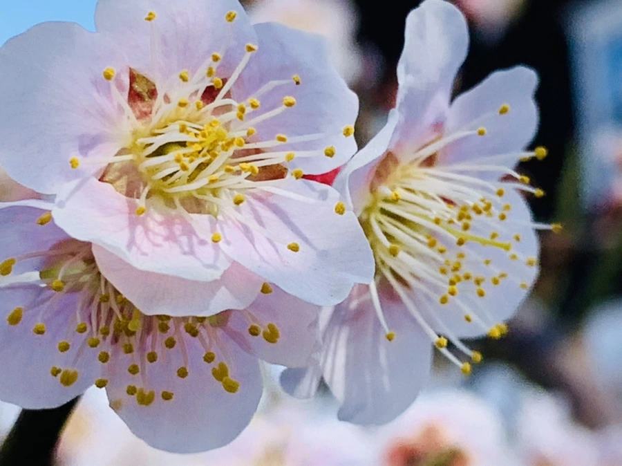 IMG_1013.jpg?type=w966