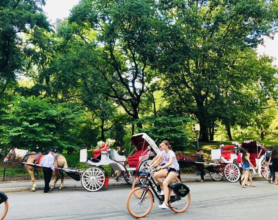 IMG_8277.jpg?type=w966