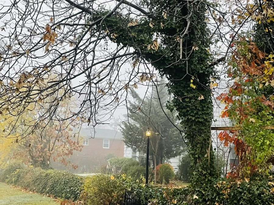 IMG_6419.jpg?type=w966