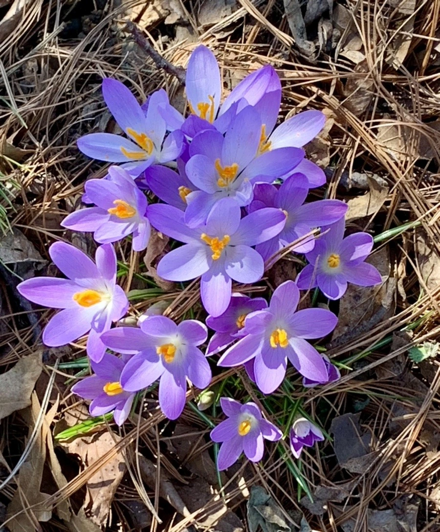 eQUHFpQQfrw0aJlCaGKSaRw-QRs