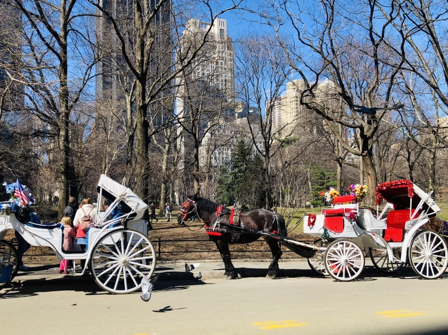 IMG_1185.jpg?type=w966