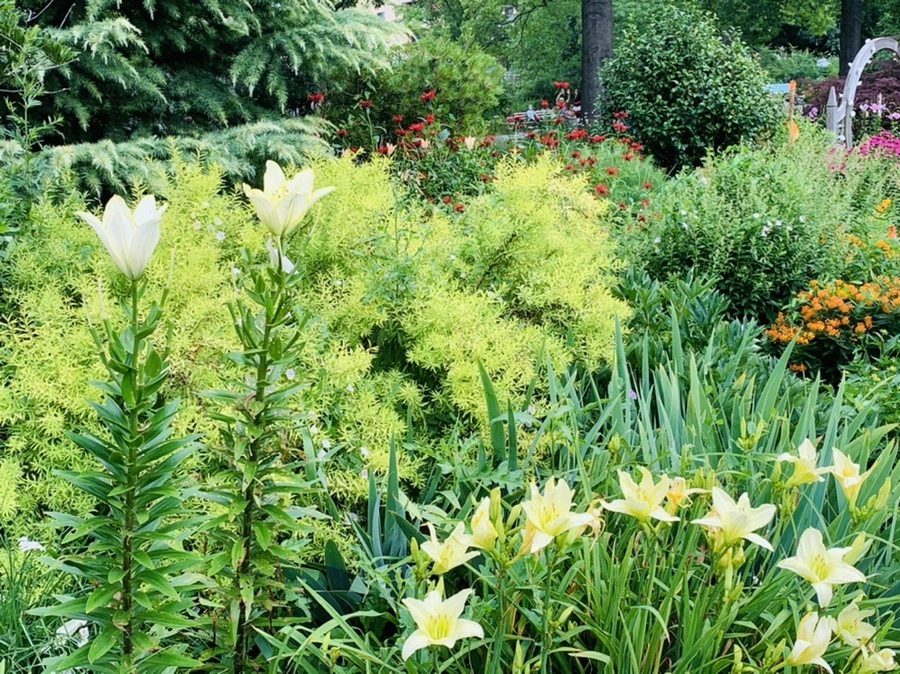 IMG_0381.jpg?type=w966