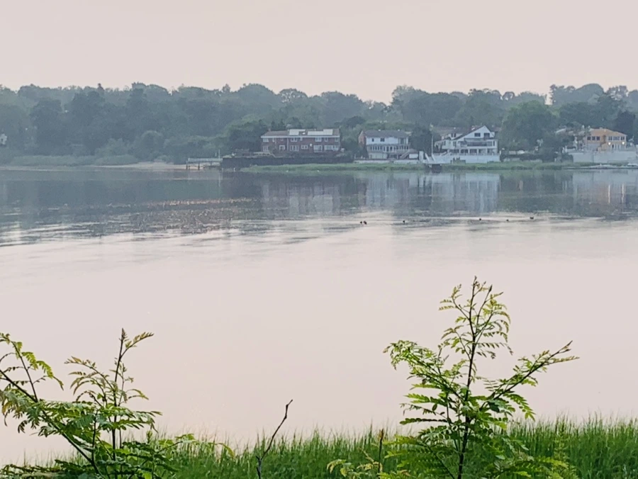 IMG_8465.jpg?type=w966